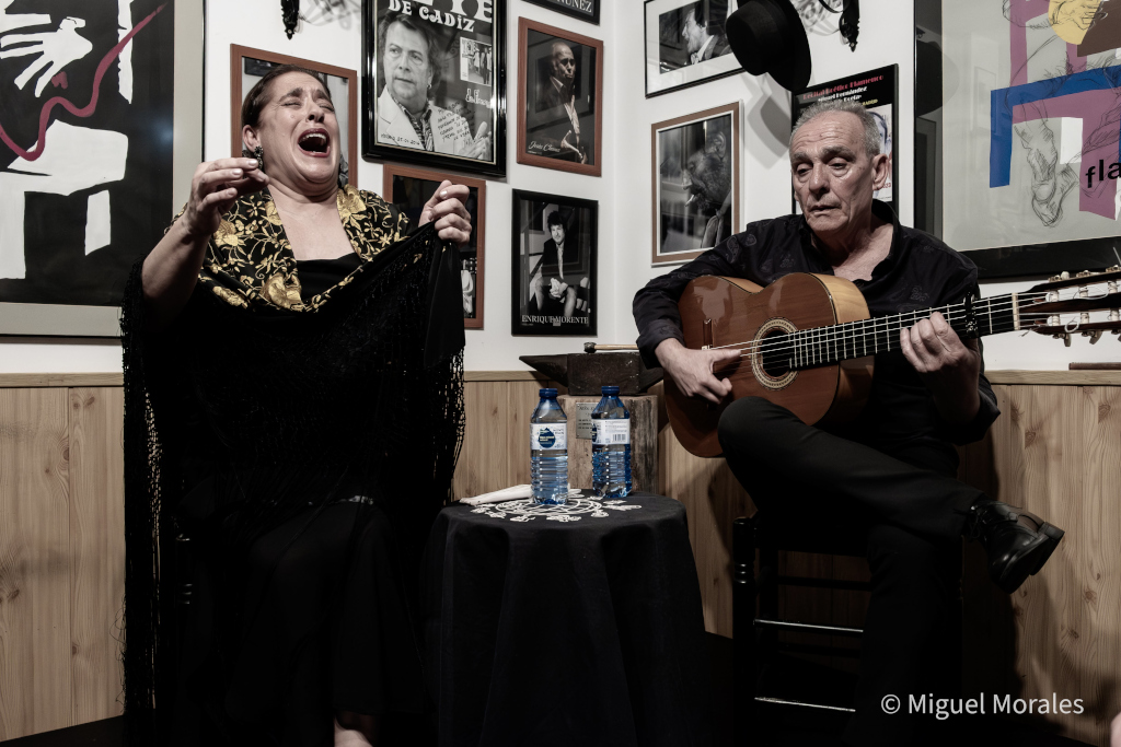 Peña Flamenca Duende